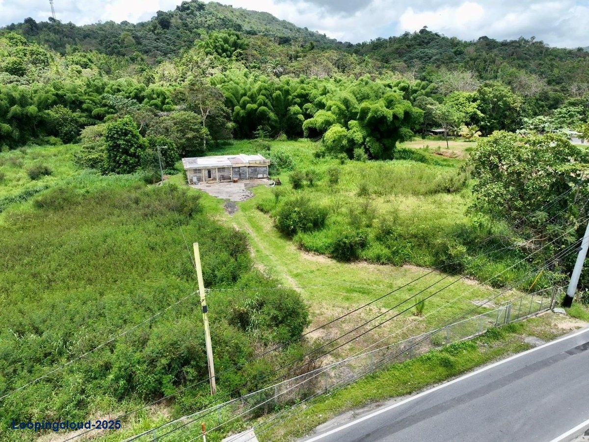Land for Sale in San Lorenzo Puerto Rico 00754