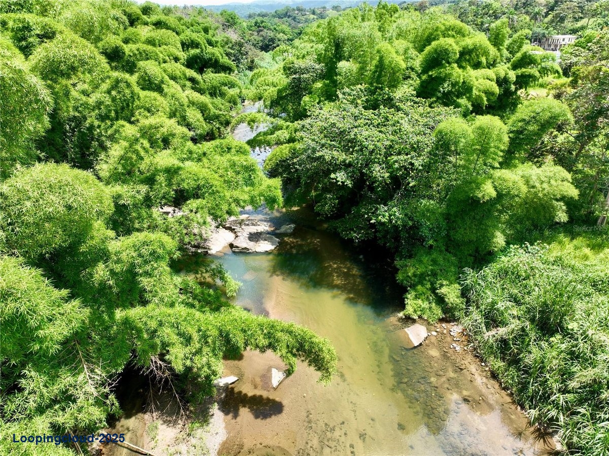 Land for Sale in San Lorenzo Puerto Rico 00754