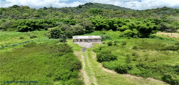 CARR 181 KM 10 QUEBRADA HONDA San Lorenzo Puerto Rico, 00754 | Expansive Parcel of Land