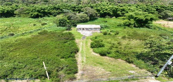 CARR 181 KM 10 QUEBRADA HONDA San Lorenzo Puerto Rico, 00754 | Expansive Parcel of Land