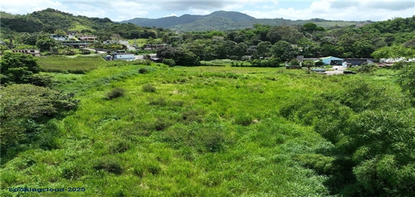 CARR 181 KM 10 QUEBRADA HONDA San Lorenzo Puerto Rico, 00754 | Expansive Parcel of Land