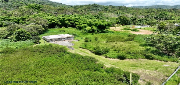 CARR 181 KM 10 QUEBRADA HONDA San Lorenzo Puerto Rico, 00754 | Expansive Parcel of Land