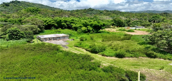 CARR 181 KM 10 QUEBRADA HONDA San Lorenzo Puerto Rico, 00754 | Expansive Parcel of Land
