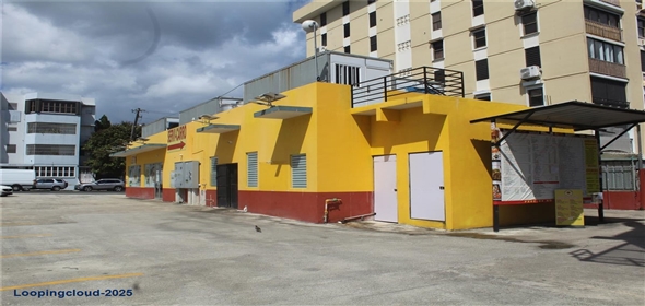 171 CALLE SAN JORGE Adjuntas Puerto Rico, 00911 | Prime Opportunity to Acquire Land and Structure