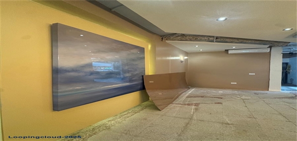 2475 LOÍZA STREET San Juan Puerto Rico, 00913 | Investment Property for Sale