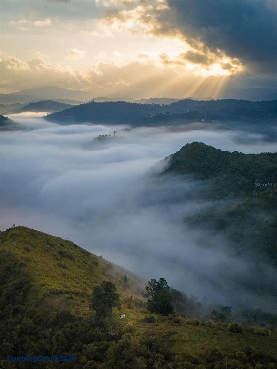 Commercial Property for Sale in Cayey Puerto Rico 00736