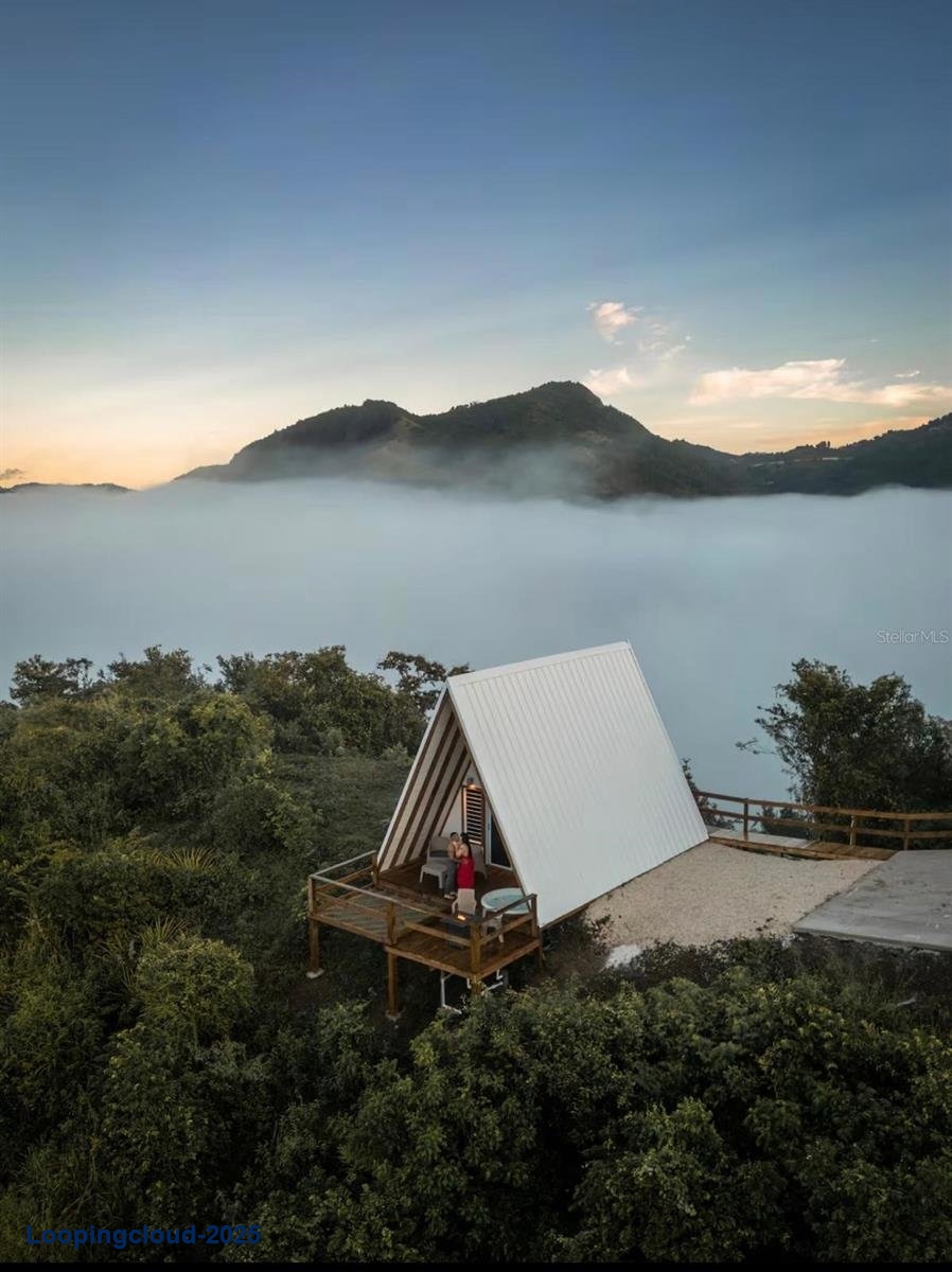 Commercial Property for Sale in Cayey Puerto Rico 00736