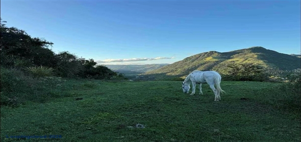 Calle Santa Clara BO. MATON ABAJO PARC 46 Cayey Puerto Rico, 00736 | Turnkey Short-Term Rental Business in Cayey