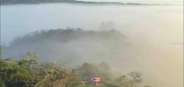 Calle Santa Clara BO. MATON ABAJO PARC 46 Cayey Puerto Rico, 00736 | Turnkey Short-Term Rental Business in Cayey