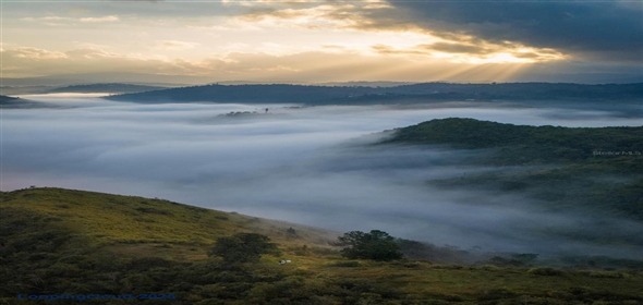 Calle Santa Clara BO. MATON ABAJO PARC 46 Cayey Puerto Rico, 00736 | Turnkey Short-Term Rental Business in Cayey