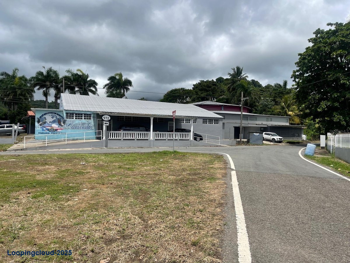Commercial Property for Sale in Naguabo Puerto Rico