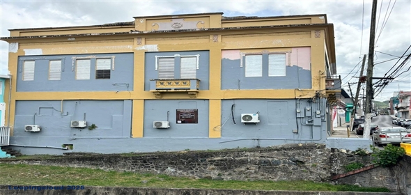 156 CALLE DE DIEGO Cayey Puerto Rico, 00736 | Commercial Space