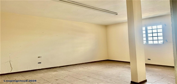 Munoz Rivera esq De Diego MUNOZ RIVERA ESQ DE DIEGO San Lorenzo Puerto Rico, 00754 | Large Commercial Property