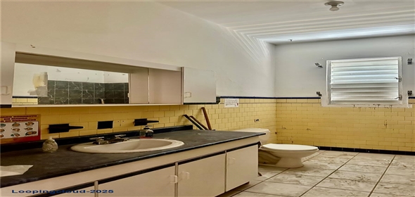 Munoz Rivera esq De Diego MUNOZ RIVERA ESQ DE DIEGO San Lorenzo Puerto Rico, 00754 | Large Commercial Property