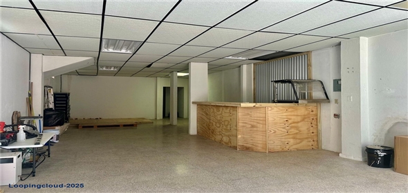 Munoz Rivera esq De Diego MUNOZ RIVERA ESQ DE DIEGO San Lorenzo Puerto Rico, 00754 | Large Commercial Property