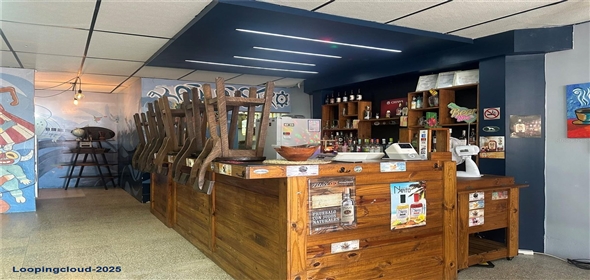 Munoz Rivera esq De Diego MUNOZ RIVERA ESQ DE DIEGO San Lorenzo Puerto Rico, 00754 | Large Commercial Property