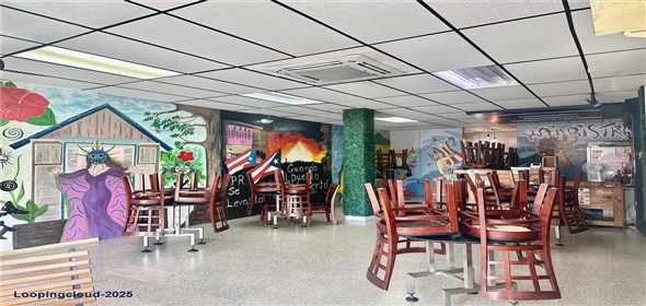 Munoz Rivera esq De Diego MUNOZ RIVERA ESQ DE DIEGO San Lorenzo Puerto Rico, 00754 | Large Commercial Property