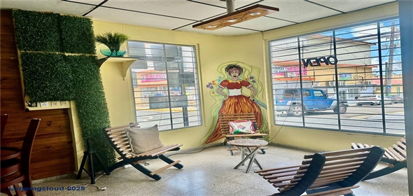 Munoz Rivera esq De Diego MUNOZ RIVERA ESQ DE DIEGO San Lorenzo Puerto Rico, 00754 | Large Commercial Property