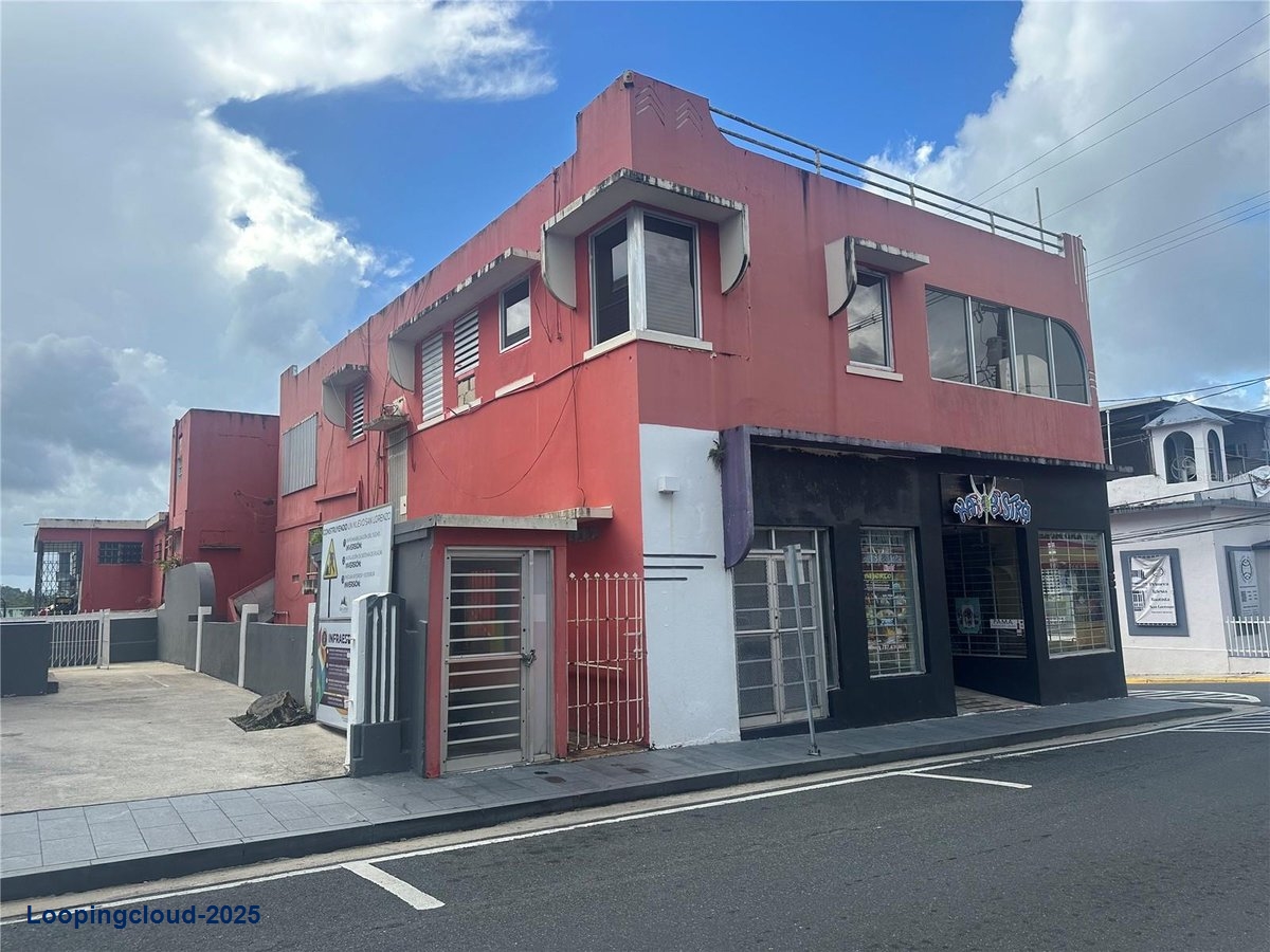 Commercial Property for Sale in San Lorenzo Puerto Rico 00754