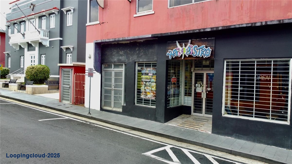 Commercial Property for Sale in San Lorenzo Puerto Rico 00754