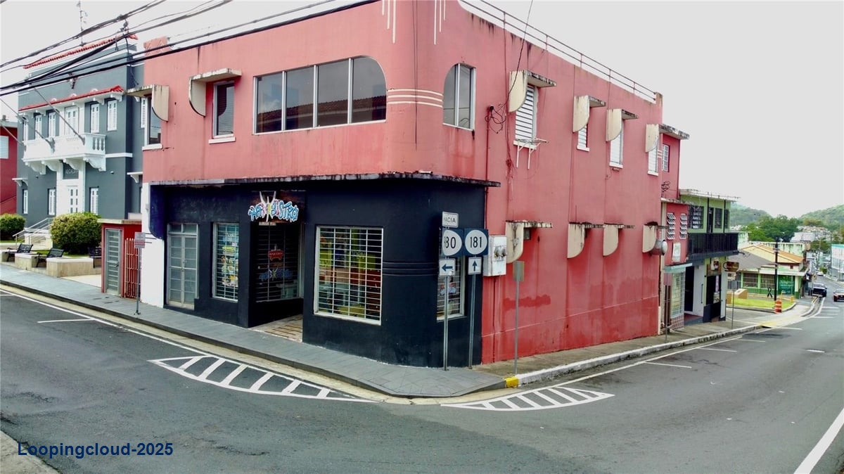 Commercial Property for Sale in San Lorenzo Puerto Rico 00754