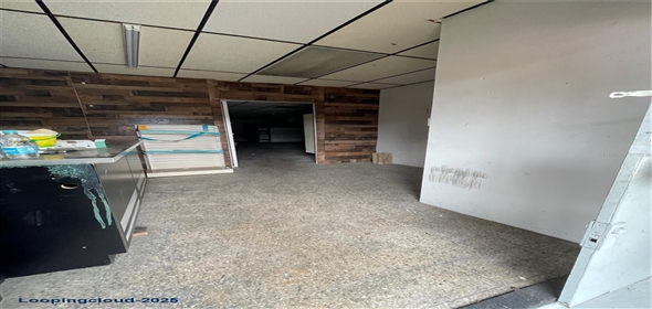 203 CALLE COMERIO Bayamon Puerto Rico, 00959 | Mixed-use Property for Sale