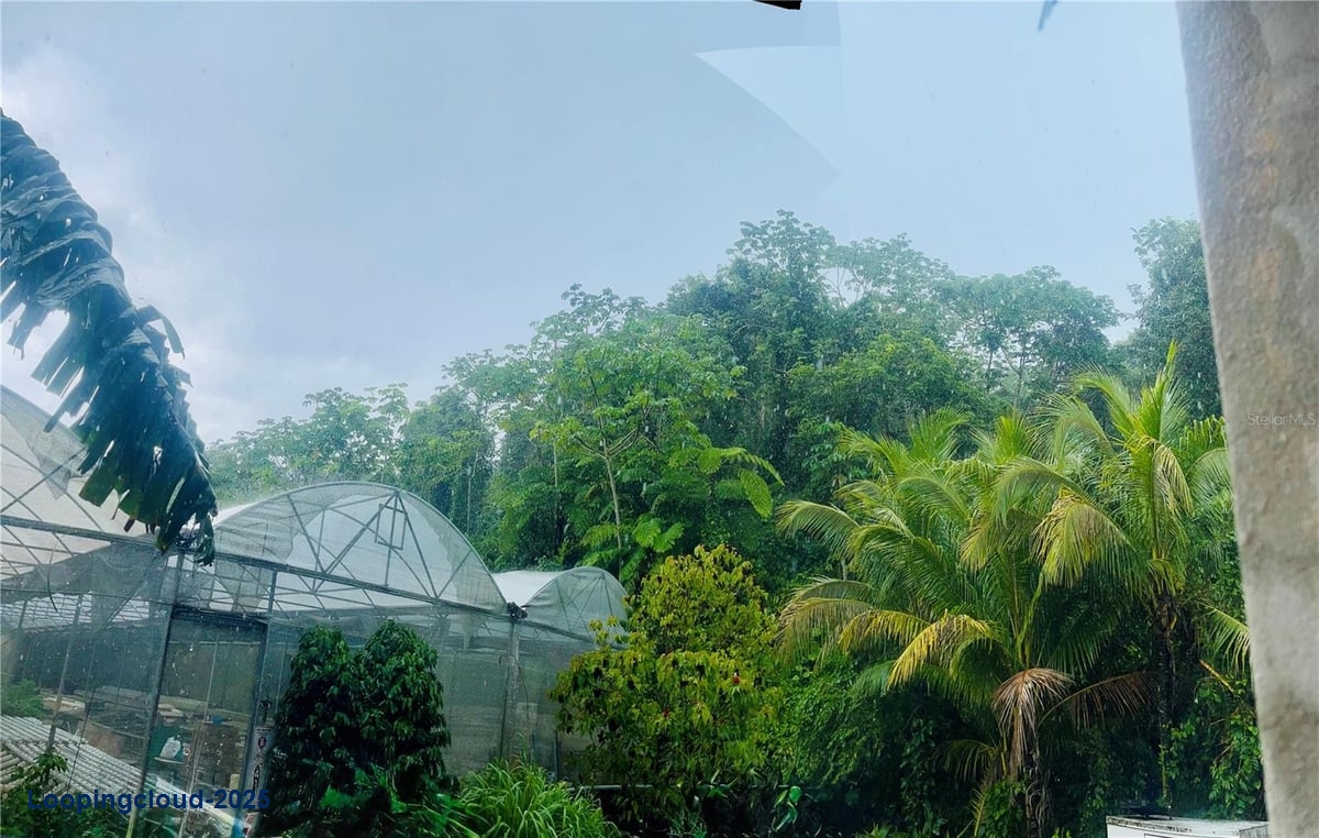 Commercial Property for Sale in San Germán Puerto Rico 00683