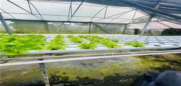 CARRETERA 119 San Germán Puerto Rico, 00683 | CARRETERA 119, SAN GERMAN, PR 00683