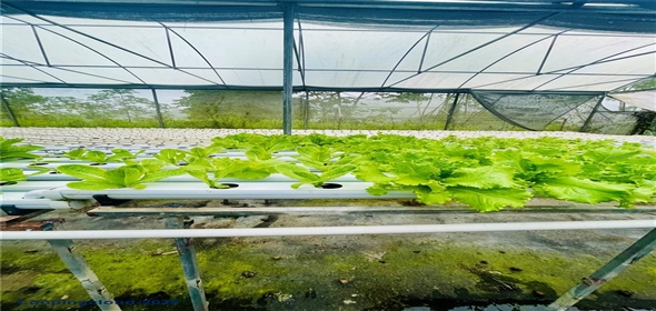 CARRETERA 119 San Germán Puerto Rico, 00683 | CARRETERA 119, SAN GERMAN, PR 00683