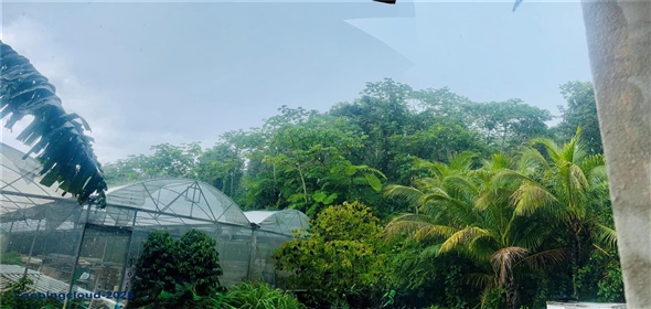 CARRETERA 119 San Germán Puerto Rico, 00683 | CARRETERA 119, SAN GERMAN, PR 00683