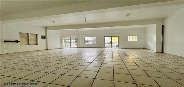 #60 CALLE DR. LÓPEZ ESQUINA SAN RAFAEL Fajardo Puerto Rico, 00738 | Commercial Building for Sale