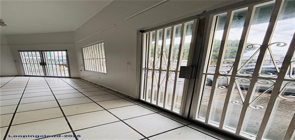#60 CALLE DR. LÓPEZ ESQUINA SAN RAFAEL Fajardo Puerto Rico, 00738 | Commercial Building for Sale