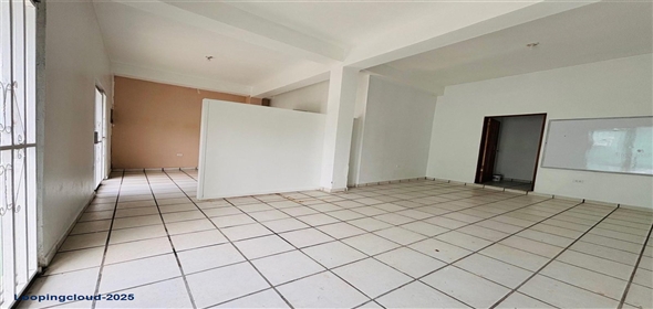 #60 CALLE DR. LÓPEZ ESQUINA SAN RAFAEL Fajardo Puerto Rico, 00738 | Commercial Building for Sale