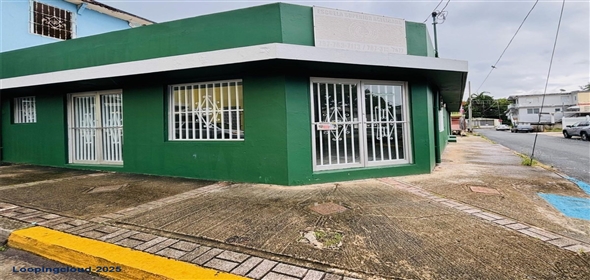#60 CALLE DR. LÓPEZ ESQUINA SAN RAFAEL Fajardo Puerto Rico, 00738 | Commercial Building for Sale