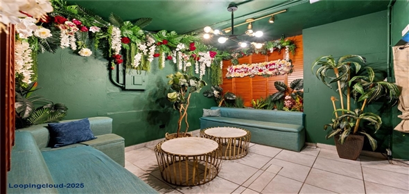 5916 AVENIDA ISLA VERDE Carolina Puerto Rico, 00979 | Patio de las Flores