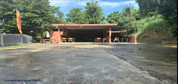 PARCEL #31 CAMINO RIO ABAJO PARCELA #31 Ceiba Puerto Rico, 00735 | Unique Investment Opportunity in Ceiba