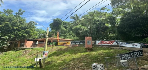 PARCEL #31 CAMINO RIO ABAJO PARCELA #31 Ceiba Puerto Rico, 00735 | Unique Investment Opportunity in Ceiba