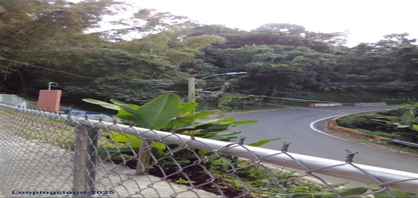 PARCEL #31 CAMINO RIO ABAJO PARCELA #31 Ceiba Puerto Rico, 00735 | Unique Investment Opportunity in Ceiba