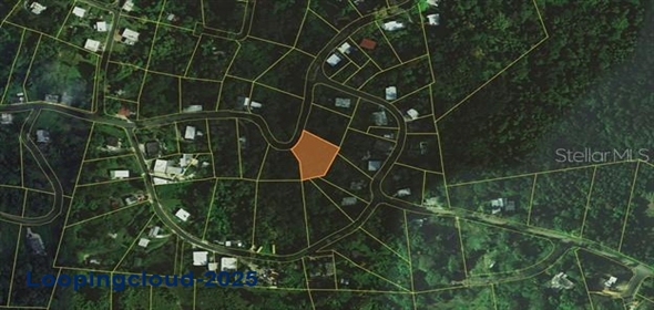 PARCEL #31 CAMINO RIO ABAJO PARCELA #31 Ceiba Puerto Rico, 00735 | Unique Investment Opportunity in Ceiba