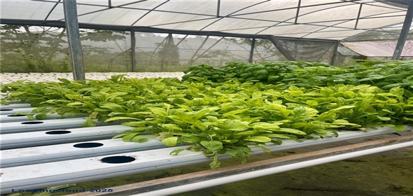 1103 87TH ST NW Bradenton Florida, 34209 | 1103 87TH ST NW Bradenton