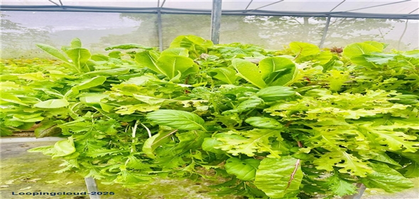 1103 87TH ST NW Bradenton Florida, 34209 | 1103 87TH ST NW Bradenton