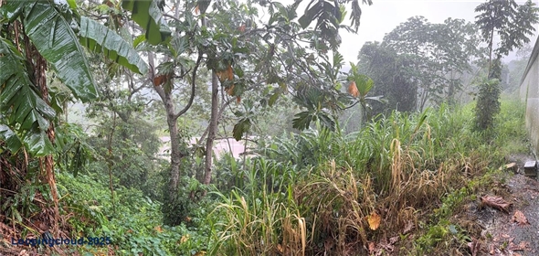 1103 87TH ST NW Bradenton Florida, 34209 | 1103 87TH ST NW Bradenton