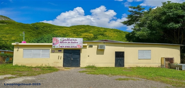 BARRIO QUEBRADA YEGUAS LA PLENA 94 Salinas Puerto Rico, 00751 | BARRIO QUEBRADA YEGUAS LA PLENA 94, SALINAS, PR 00751