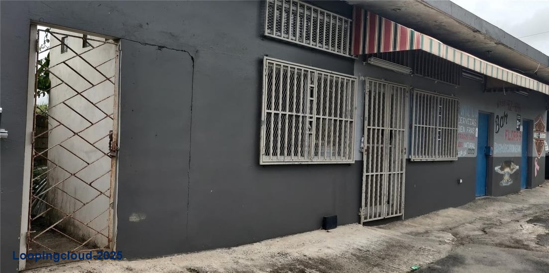 Commercial Property for Sale in Adjuntas Puerto Rico 00703