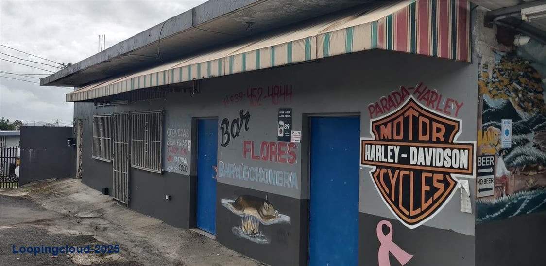 Commercial Property for Sale in Adjuntas Puerto Rico 00703