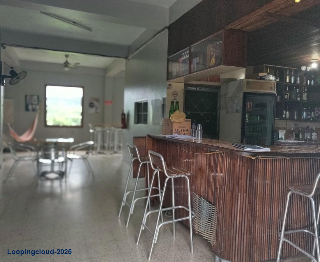 Commercial Property for Sale in Adjuntas Puerto Rico 00703