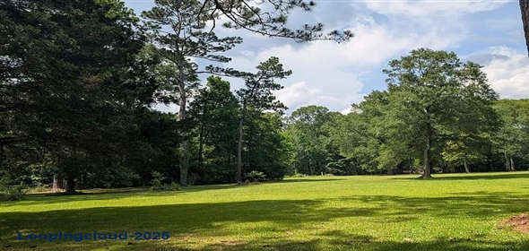 Newton St Jackson Louisiana, 70748 | Exclusive Lot for Sale