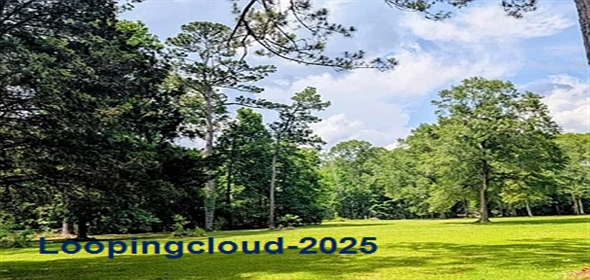 Newton St Jackson Louisiana, 70748 | Exclusive Lot for Sale