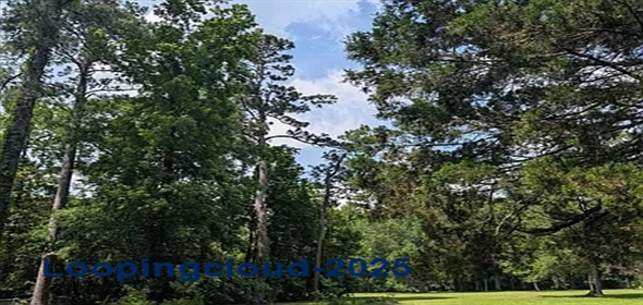 Newton St Jackson Louisiana, 70748 | Exclusive Lot for Sale