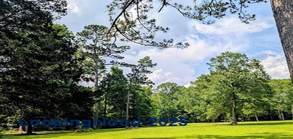 Newton St Jackson Louisiana, 70748 | Exclusive Lot for Sale